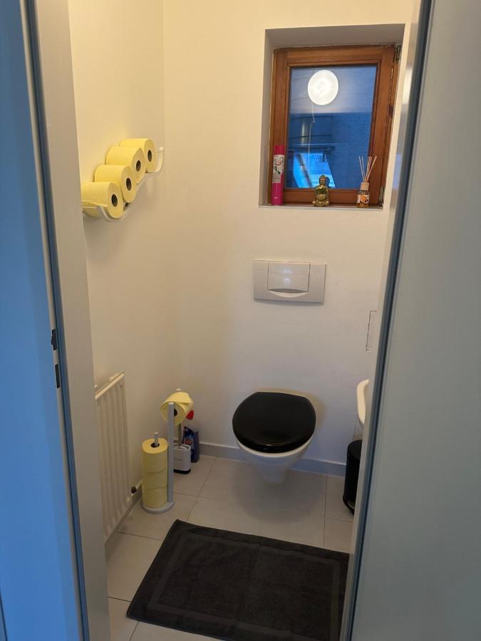 Klimatisiertes Dachgeschoss City Apartment In Zentrum Wiens Extérieur photo