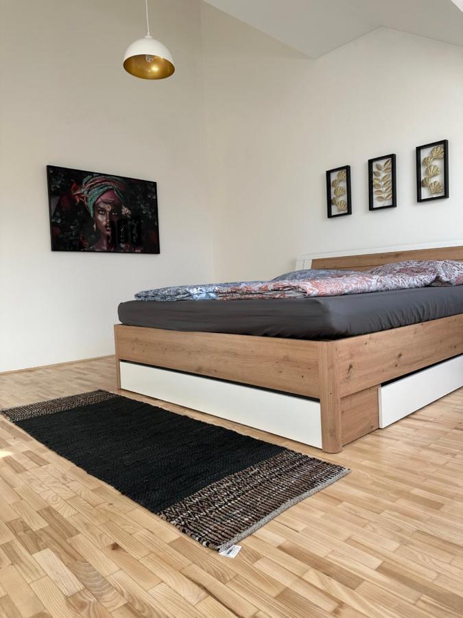 Klimatisiertes Dachgeschoss City Apartment In Zentrum Wiens Extérieur photo